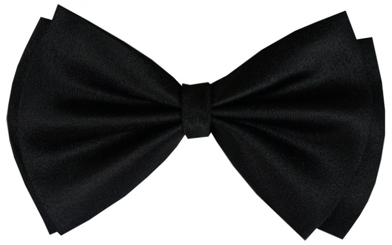 Бабочка черная